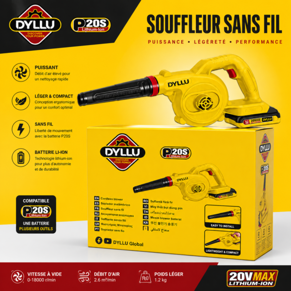 DYLLU P20S 20V Lithium-Ion